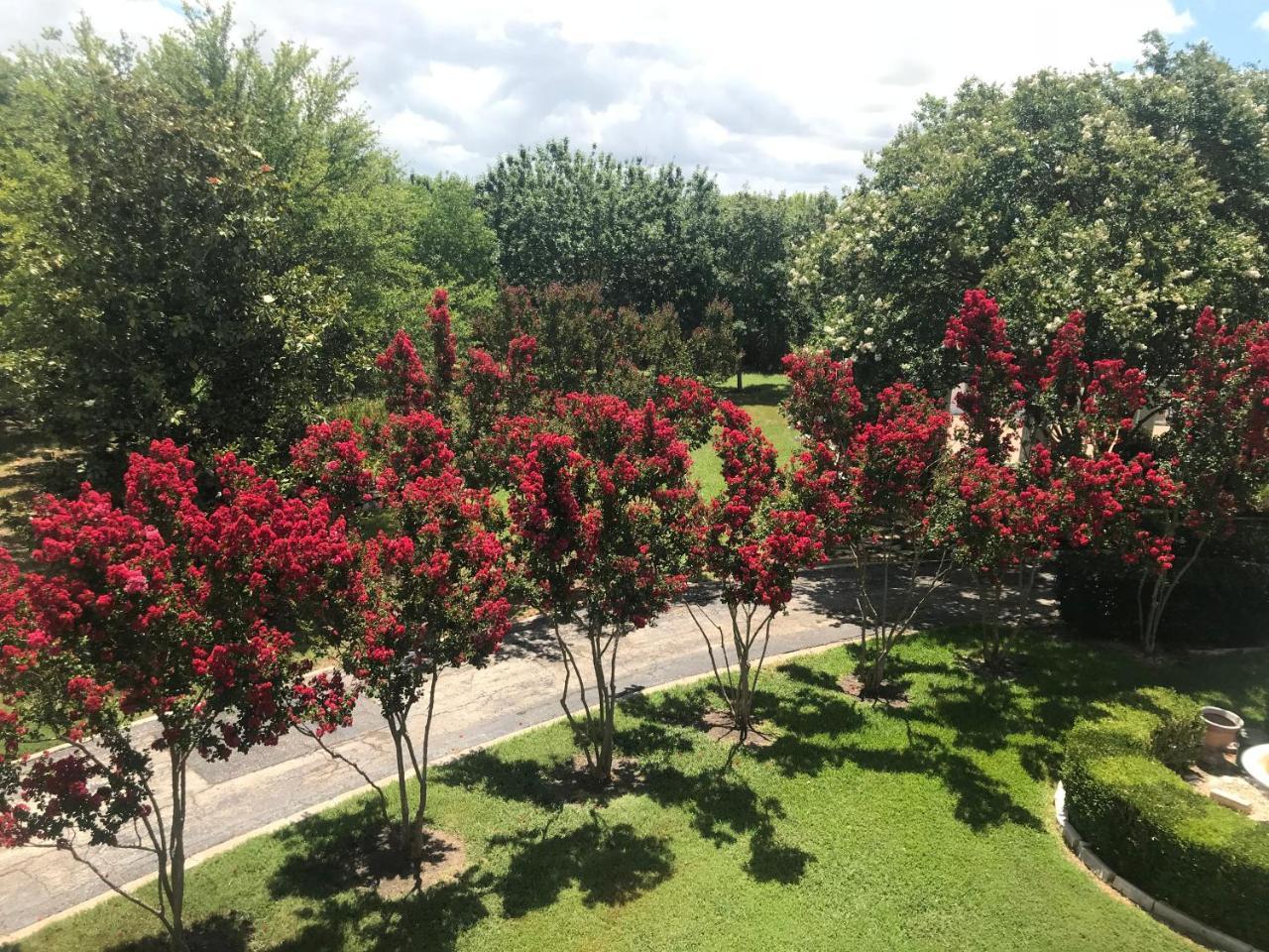 بفلوغرفيل The Plantation House Boutique Inn المظهر الخارجي الصورة